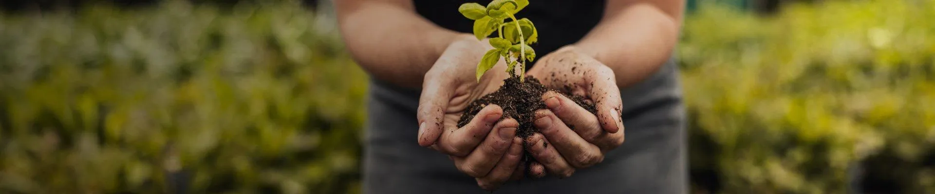 FRAMTIDENS LANTBRUK, IDAG!