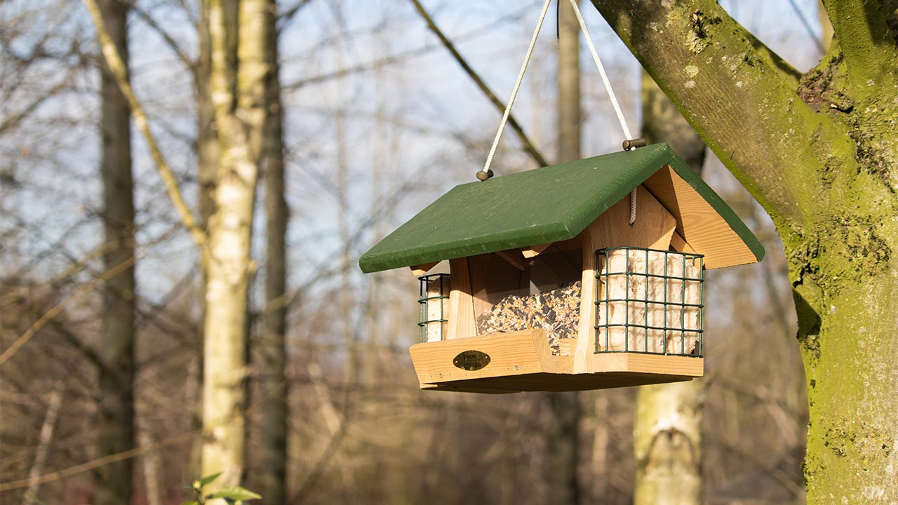 Så här gör du en fågelmatare för din balkong eller trädgård