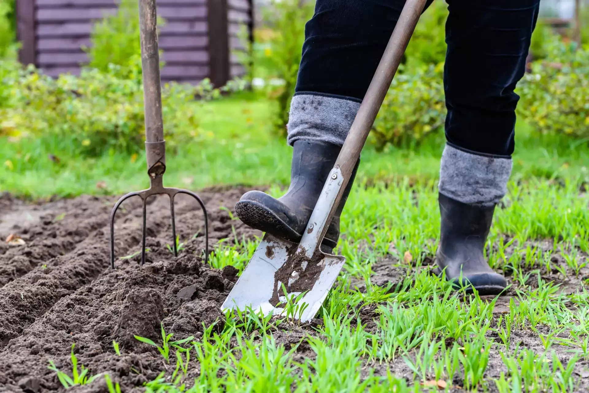 Hur du gräver jorden i din trädgård &#8211; en omfattande guide